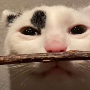 Meet your Posher, Ciel